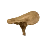 Mushroom  - [PC/PS/XBOX] - Real stock + Fast delivery 