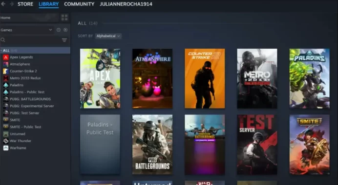 [1000+ hours] CS 2 + 9 games + 4 paid games (Borderlands 2) / Hours played on Faceit / Native Mail