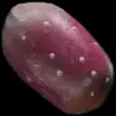 x5 Prickly Pear