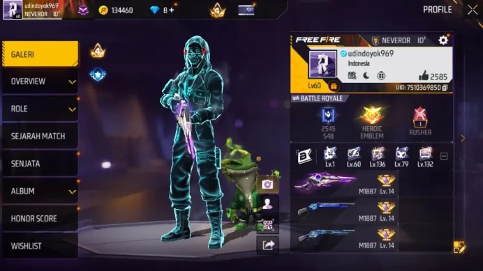 Indonesia|5 EVO Gun|AK47 Blue Flame Lv 7, M1887 Sterling Conqueror Lv 5, etc|Vault 243 + Bundle 94|Log Google|Check SS(FF1224)