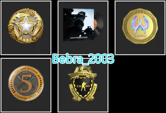 35Game-CS2 Prime 253 hours+4Medals(2025 Service Medal/Global Offensive Badge/Loyalty Badge/5 Year Veteran Coin)