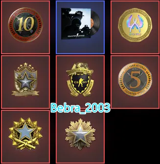CS2 Prime+7Medals(2016-2017-2022 Service Medal/10Y/5Y/Loyalty Badge/Global Offensive Badge)