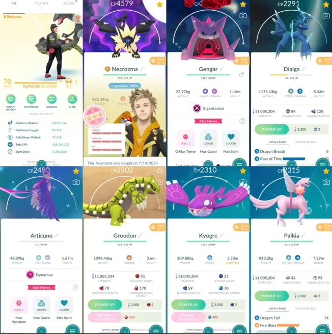 1843 Level 70 Dusk Mane Necrozma100 Enamorus100 Shiny GMax Gengar Shiny Mega Rayquaza Shiny DMax Articuno Shiny Mime Jr. Shiny Pikachu Witch Hat