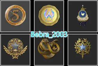 30Game-CS2 Prime+6Medals(Operation Broken Fang/2020-2021 Service Medal/10 Year Birthday Coin/5Y/Global Offensive Badge)
