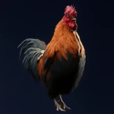 Scrappy the Rooster - Level 1-5 upgrade materials--- Fast Delivery!