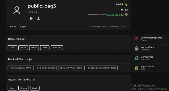 Smurf Account - Level 94 - Diamond Season Vector Glare - Plat Demon Veil - +5 BLACK ICE - +2 Special - +1 Legend Skin - [ ALL INFO IN DESCRIPTIO