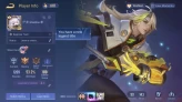 AOV03-Garena - Indonesia - LV 30 - Main Aleister 10k Mastery - 112 Heroes - 152 Skins - Cosmos: Solar Flare Tulen + Kagutsuchi Valhein + Muay Th