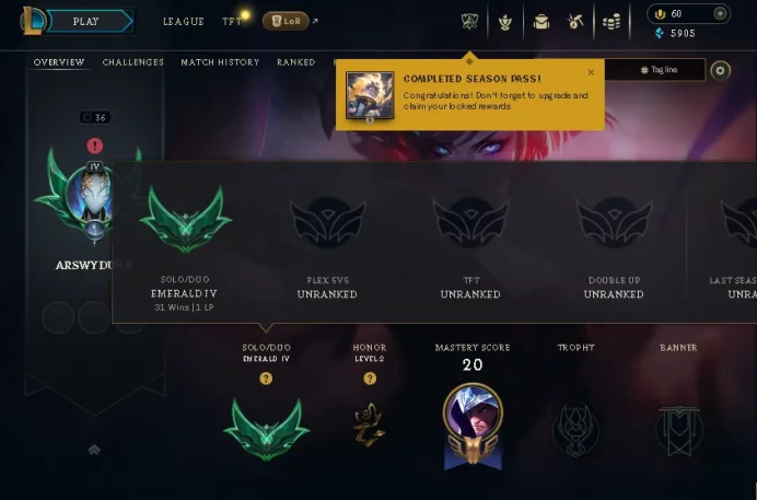 EUW E4- 67wr- +38LP GAIN-8SKIN-35CHAMP-HANDMADE