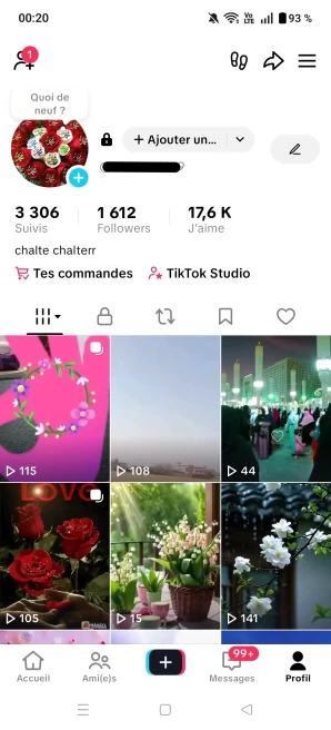 [Code 8024] 1600 Followers + 17k Likes / Very Cheap