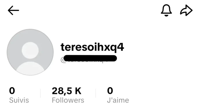 [Code 8027] 28k Followers / Very Cheap