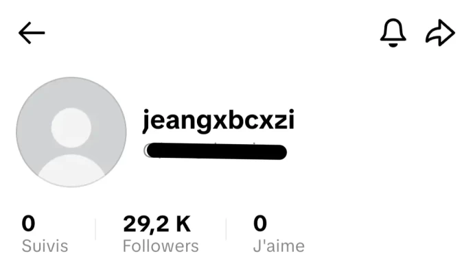 [Code 8029] 29k Followers / Very Cheap