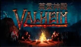 [STEAM ONLINE] Valheim Account |  Full access | Can Change Data | Fast Delivery | Community market disabled