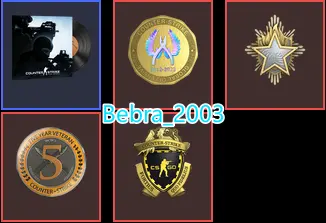14Game-CS2 Prime 363 hours+4Medals(2023 Service Medal/5 Year Veteran Coin/Loyalty Badge/Global Offensive Badge)