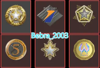 CS2 Prime 906 hours+6Medals(2023-2024-2025 Service Medal/5Y/Premier Season One Medal/Global Offensive Badge)
