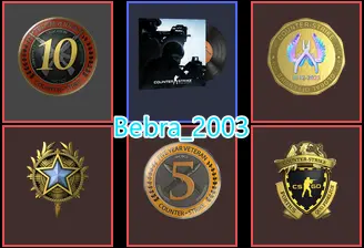 CS2 Prime 501 hours+5Medals(2020 Service Medal/10Y/5Y/Loyalty Badge/Global Offensive Badge)