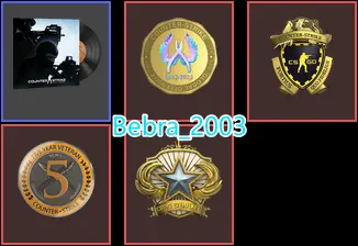 CS2 Prime 497 hours+4Medals(Loyalty Badge/2018 Service Medal/Loyalty Badge/Global Offensive Badge)