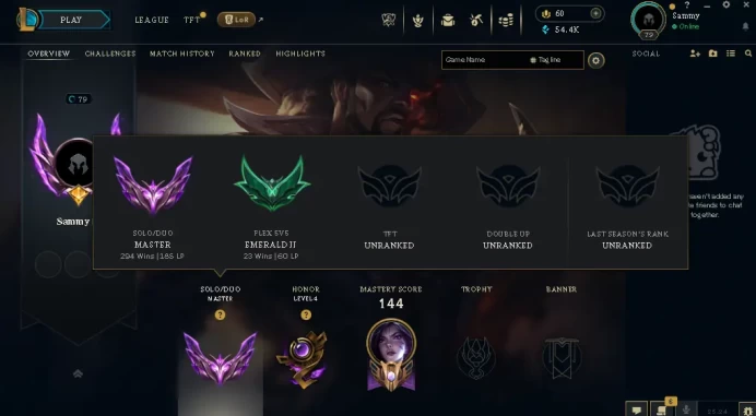 EUW / MASTER(185LP) %60wr / 61 Champ / 11 PERFECT SKINS / 54.4K BE / HANDMADE / CHEANGEABLE MAIL / LIFETIME WARRANTY / 7-24 SUPPORT / CHEAP