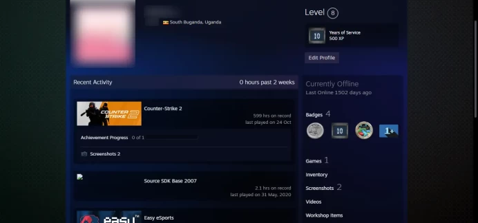 2019,2020 Service Medal!!! _8 LEVEL STEAM_Last Online 4 year ago _<30 Days Warranty> _NO VAC_ 5Y, Loyalty Badge, Global Badge_599hrs `
