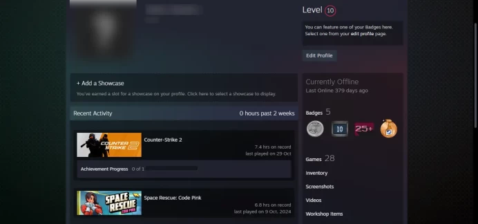 10 LEVEL STEAM _ 10Y Medal + 25 other games _ <FACEIT> _< 30 Days Warranty > _ NO VAC _Global , Loyalty Badge, 5Y _7 hrs`