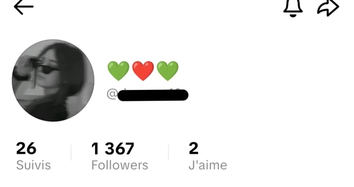 [Code 8085] 1300 Followers + 2 like / Very Cheap