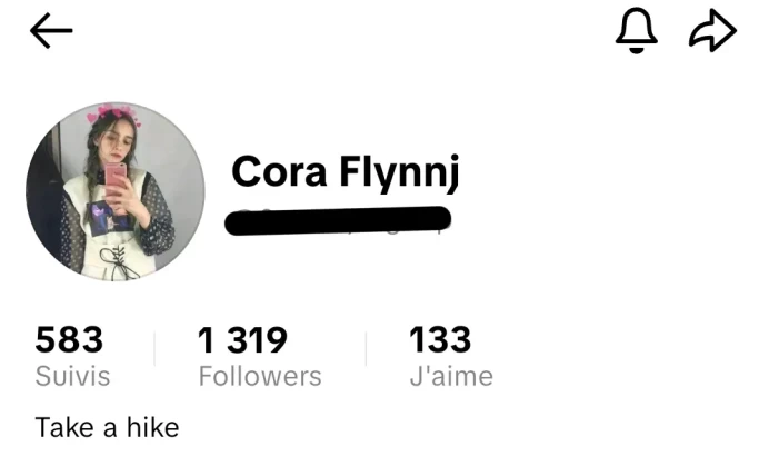 [Code 8101] 1300 Followers + 130 Likes / Very Cheap