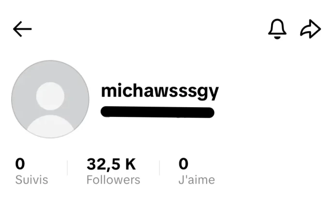 [Code 8109] 32k Followers / Very Cheap