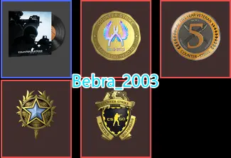 18Game-CS2 Prime 484 hours+4Medals(2020 Service Medal/5Y/Loyalty Badge/Global Offensive Badge)