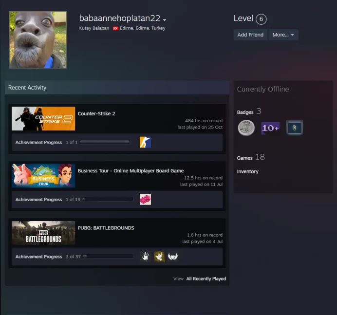 18Game-CS2 Prime 484 hours+4Medals(2020 Service Medal/5Y/Loyalty Badge/Global Offensive Badge)