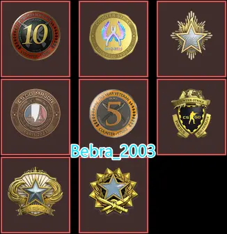 CS2 Prime+8Medals(Paris 2023 Coin/2017-2018-2023 Service Medal/10Y/5Y/Loyalty Badge/Global Offensive Badge)