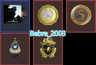 CS2 Prime 235 hours+4Medals(10 Year Birthday Coin/5Y/Loyalty Badge/Global Offensive Badge)