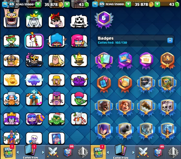 49 lvl/14000+ Trophy/TK 14/118 Card/15lvl card 2/14lvl card 10/5 Evolved/47 Emote/6 Years old/	mssh1375