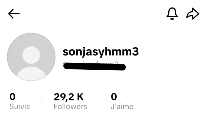 [Code 8151] 29k Followers / Very Cheap