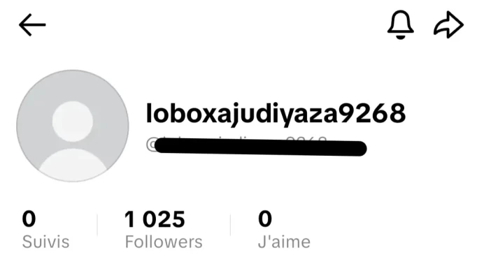 [Code 8176] Local Italy / 1k Followers / Very Cheap