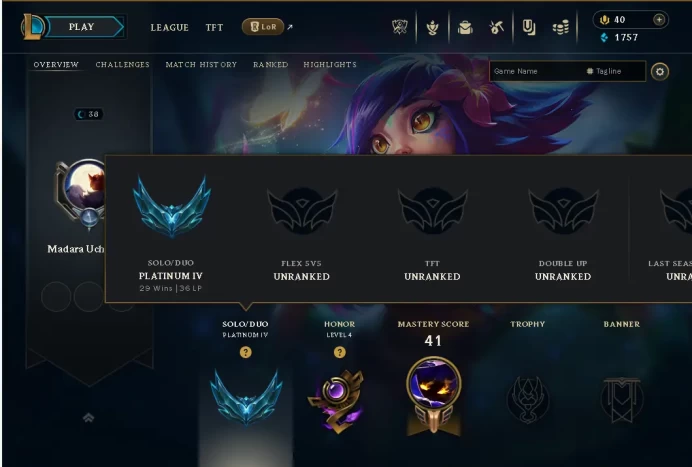 EUW P4 60WR- HONOR4- 10SKIN-HANDMADE-CHEAP