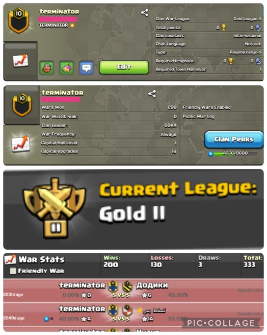 TERMINATOR LEVEL 10.6 GOLD 2 200 W8NS 130 LOSSES