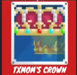 TXMom's Crown - Fast delivery