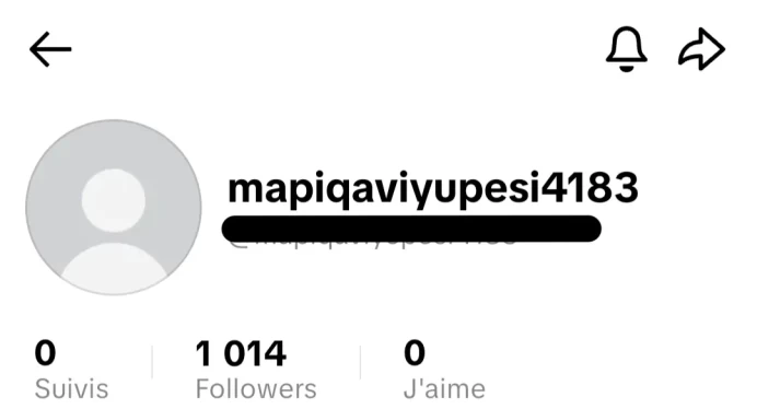 [Code 8376] Local France / 1k Followers / Very Cheap