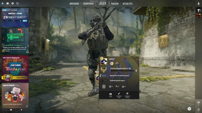 [Code 8452] Prime / Rank 38 + 2 Medals / Level 3 Faceit / Very Cheap