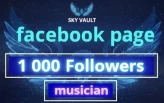 Facebook Page : 1 000 Followers | Musicien Category |Full Acess| Full Data change