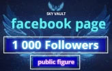 Facebook Page : 1 000 Followers | public figure Category |Full Acess| Full Data change