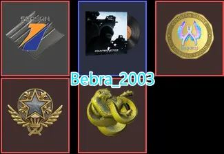 CS2 Prime 799 hours+4Medals(Gold Operation Broken Fang Coin/Premier Season One Medal/2021 Service Medal/Global Offensive Badge)
