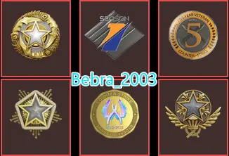 CS2 Prime 736 hours+6Medals(2021-2024-2025 Service Medal/5Y/Premier Season One Medal/Global Offensive Badge)