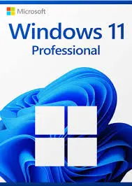Microsoft Windows 11 OEM Professional 