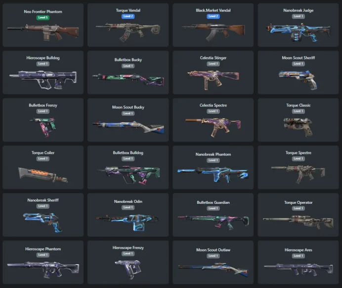 EU /24 skins /  Neo Frontier Phantom / Torque Coiler / Black.Market Vandal lui513