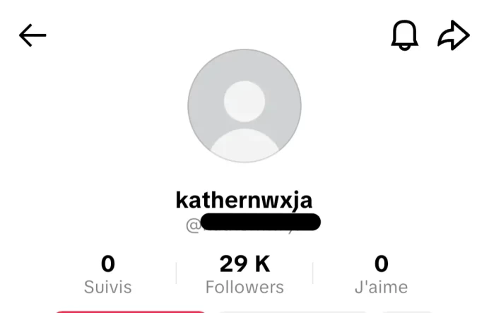 [Code 8565] 29k Followers / Very Cheap
