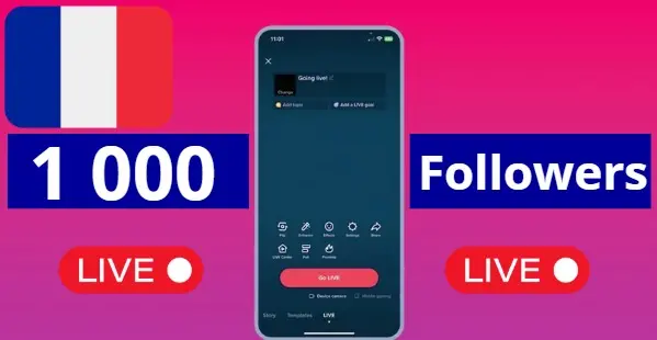 FRANCE | 1 000 Followers | Live Ready | AUTO-DELIVERY
