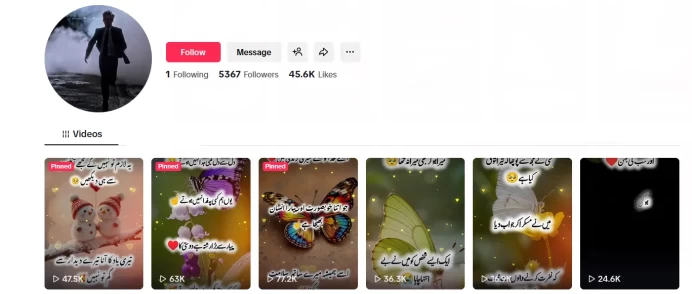 Instanly Delivery/ 5.3K Followers+45K Likes Account/ Creator Rewards Program/ Live Stream/ Full Access