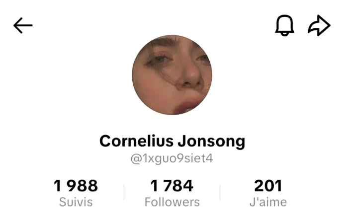 [Code 8602] 1700 Followers + 200 Likes / Very Cheap