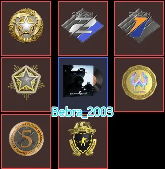 CS2 Prime 985 hours+7Medals(Premier Season Two Medal-Season One Medal/5Y/Loyalty Badge/2024-2025 Service Medal/Global Offensive Badge)