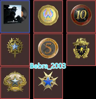 CS2 Prime 1207 hours+7Medals(2015-2018-2020 Service Medal/10Y/5Y/Loyalty Badge/Global Offensive Badge)